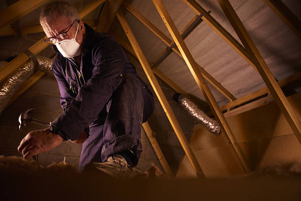 Best Insulation Maintenance and Repair in Longview, WA